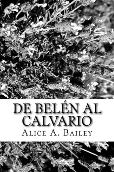 De Bel�n al Calvario (Spanish Edition)