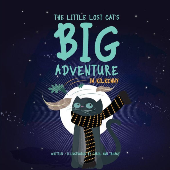 The Little Lost Cat's Big Adventure In Kilkenny