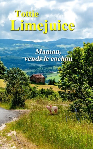 Maman, Vends Le Cochon (French Edition)