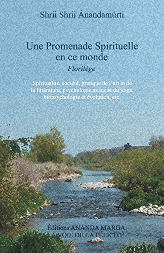 Une Promenade Spirituelle En Ce Monde (French Edition)