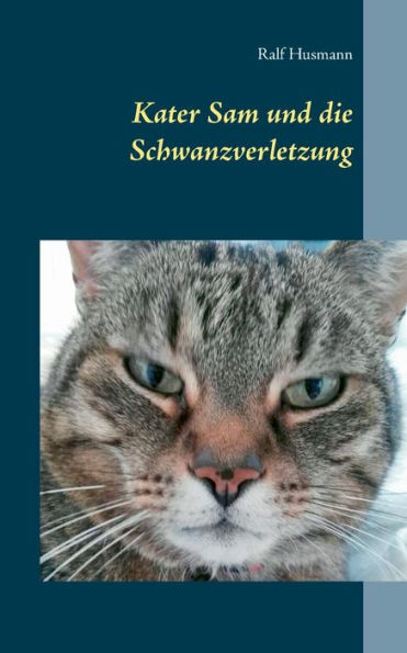 Kater Sam Und Die Schwanzverletzung (German Edition)