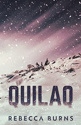 Quilaq - 9784867500651