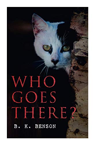 Who Goes There?: The Story of a Spy in the Civil War