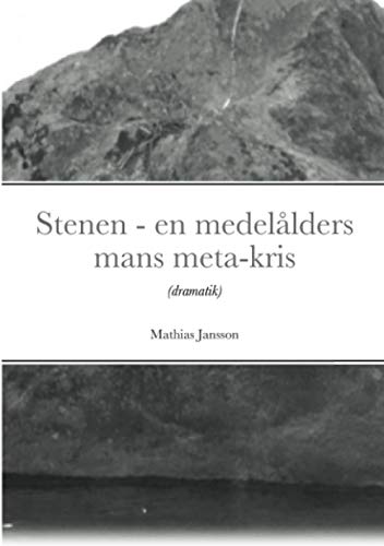 Stenen - en medel?lders mans meta-kris (Swedish Edition)
