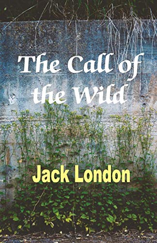 The Call Of The Wild - 9789390354337