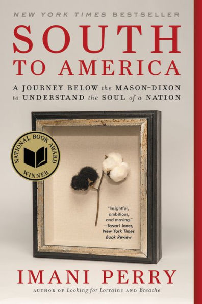 South To America: A Journey Below The Mason-Dixon To Understand The Soul Of A Nation