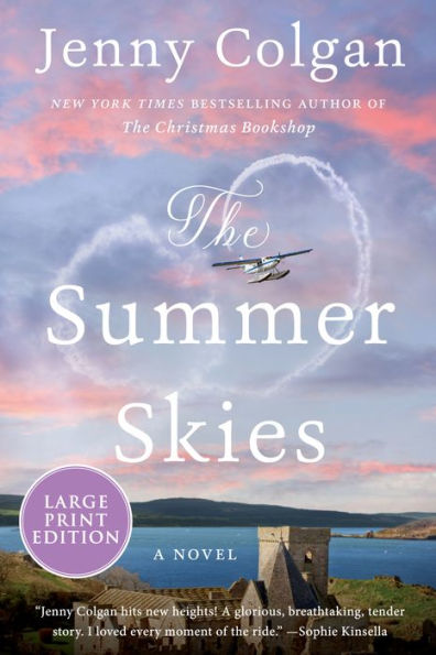 The Summer Skies: A Novel