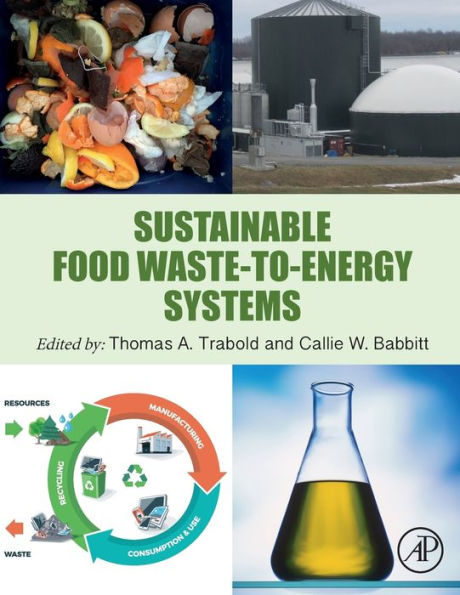 Sustainable Food Waste-To-Energy Systems