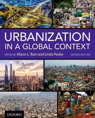 Urbanization In A Global Context 2Nd Edition