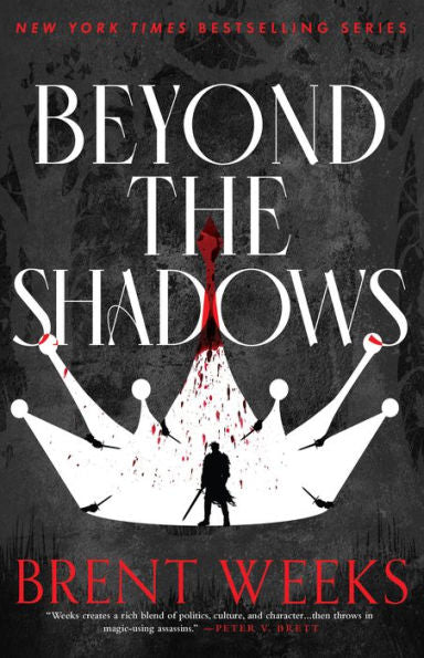 Beyond The Shadows (The Night Angel Trilogy, 3)