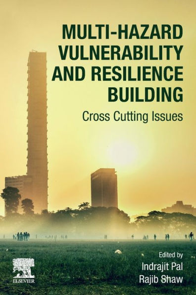 Multi-Hazard Vulnerability And Resilience Building: Cross Cutting Issues