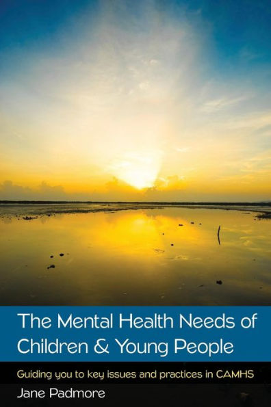 The Mental Health Needs Of Children & Young People: Guiding You To Key Issues And Practices In Camhs