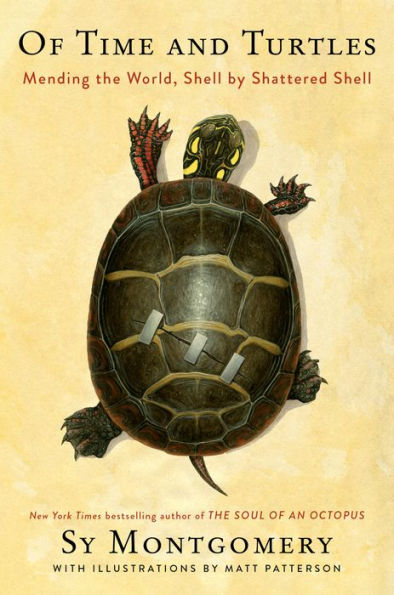 Of Time And Turtles: Mending The World, Shell By Shattered Shell