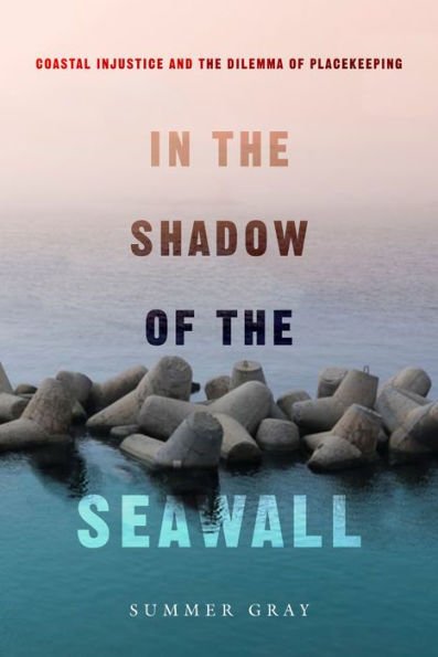 In The Shadow Of The Seawall: Coastal Injustice And The Dilemma Of Placekeeping