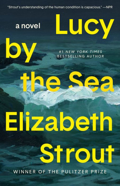Lucy By The Sea: A Novel