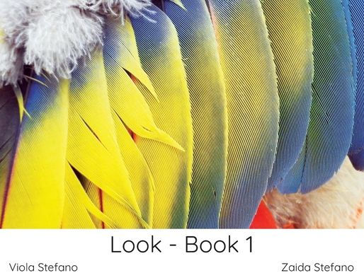 Look - Book 1