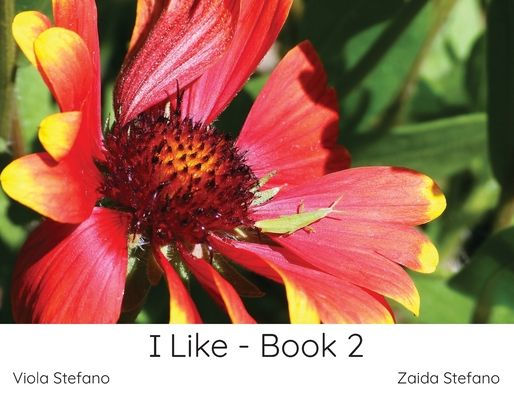 I Like - Book 2