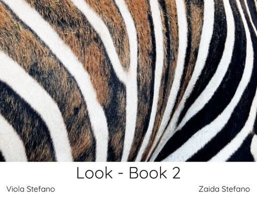 Look - Book 2