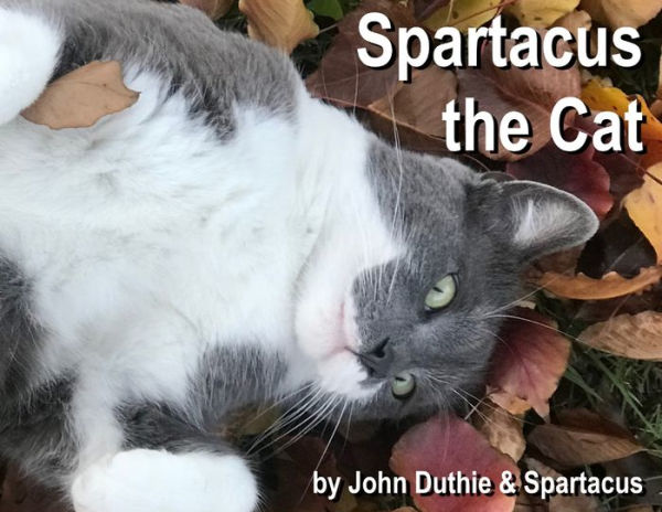 Spartacus The Cat