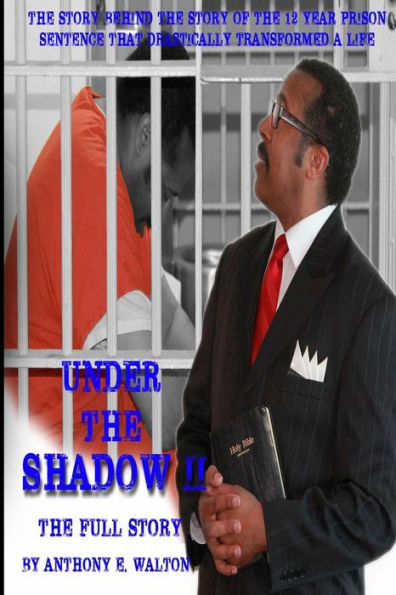 Under The Shadow Ii The Full Story: The Story Behind The Story Of The 12-Year Prison Sentence That Drastically Transformed A Life