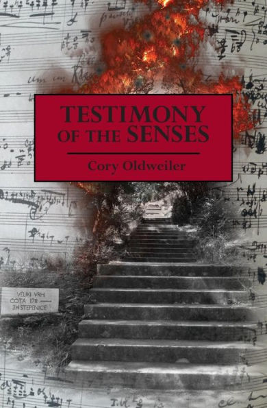Testimony Of The Senses