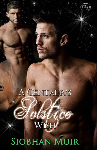 A Centaur's Solstice Wish (Rifts)