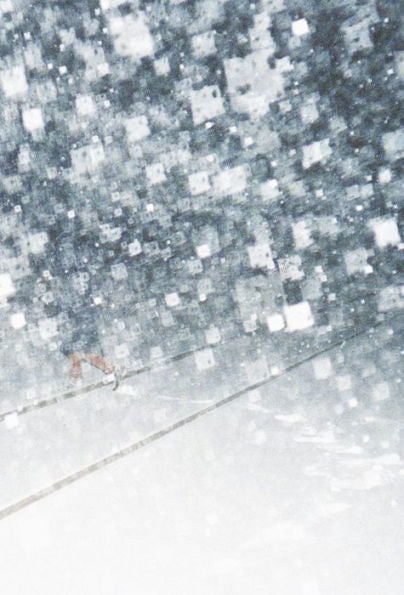 The Crystal Coffin And Other Notes On Photography