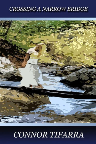 Crossing A Narrow Bridge