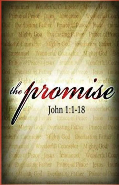 The Promise: The Secret Revealed