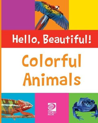 Colorful Animals