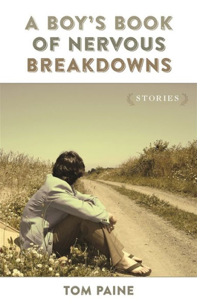 A Boy's Book Of Nervous Breakdowns: Stories (Yellow Shoe Fiction)