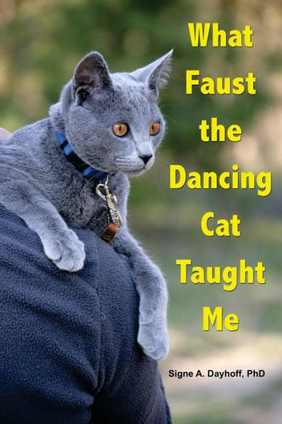 What Faust The Dancing Cat Taught Me