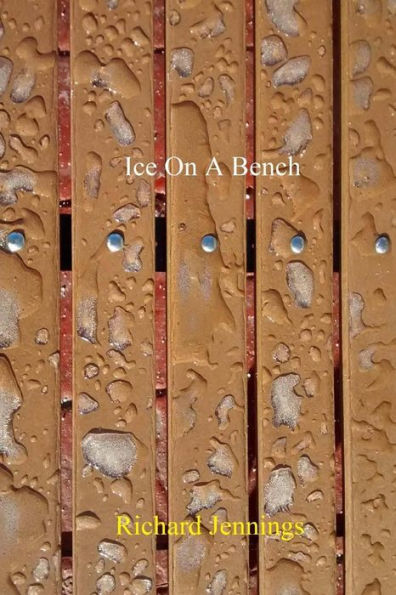 Ice On A Bench