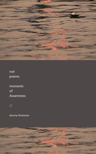 Not Poems: Moments Of Awareness