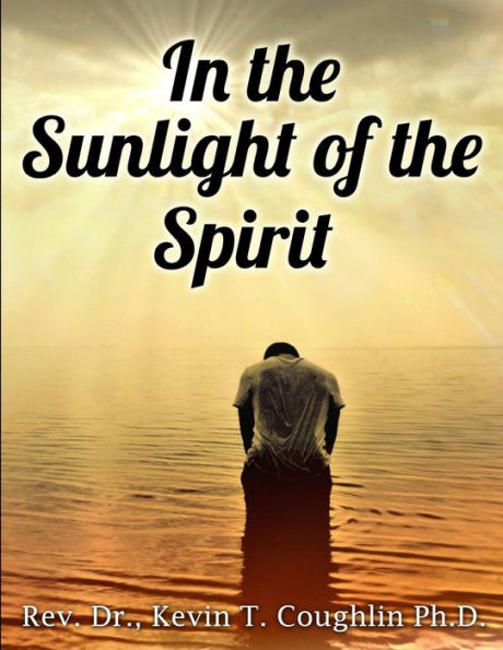 In The Sunlight Of The Spirit: A Spirituality Training Manual And Workbook