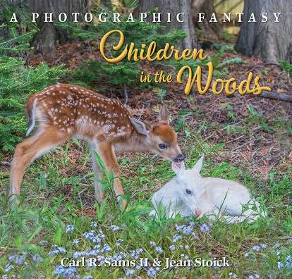 Children In The Woods (A Photographic Fantasy)