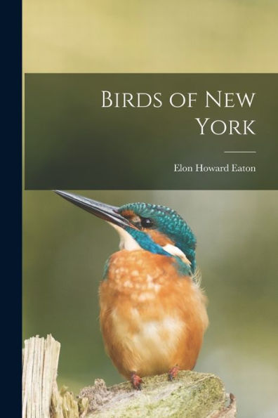 Birds Of New York