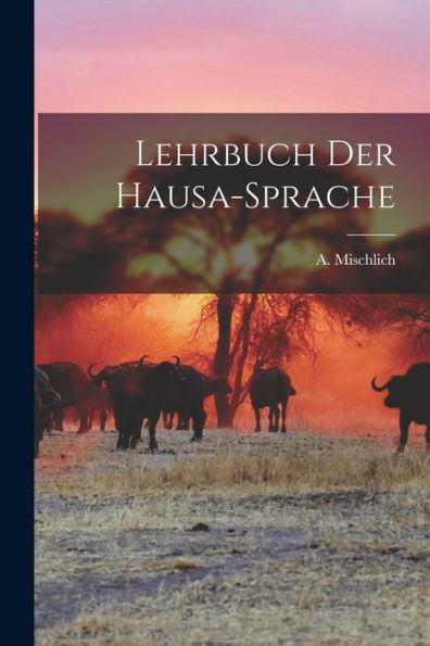 Lehrbuch Der Hausa-Sprache (German Edition) - 9781017938944
