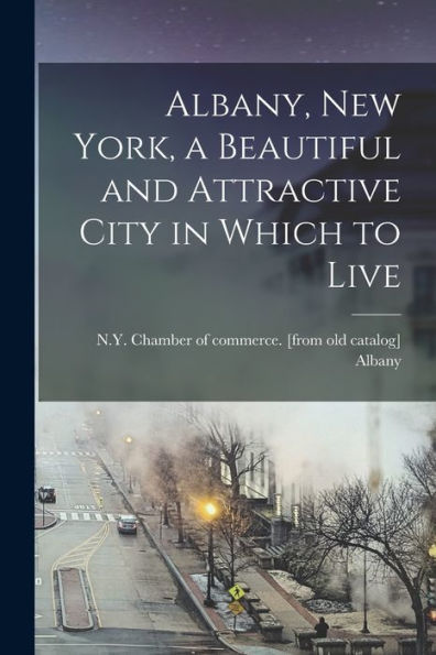 Albany, New York, A Beautiful And Attractive City In Which To Live