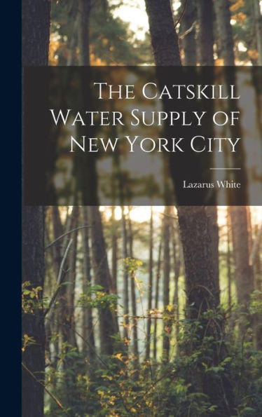 The Catskill Water Supply Of New York City - 9781018485881