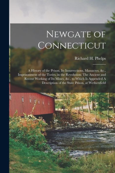 Newgate Of Connecticut: A History Of The Prison, Its Insurrections, Massacres, &C., Imprisonment Of The Tories, In The Revolution. The Ancient And ... Of The State Prison, At Wethersfield - 9781018550619