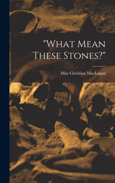 What Mean These Stones? - 9781018628899