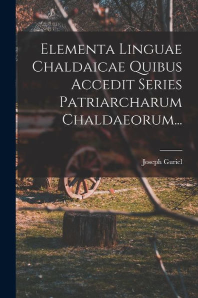 Elementa Linguae Chaldaicae Quibus Accedit Series Patriarcharum Chaldaeorum... (Latin Edition)