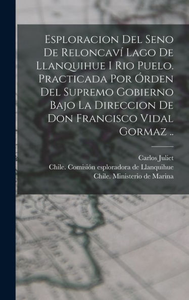 Esploracion Del Seno De Reloncavi´ Lago De Llanquihue I Rio Puelo. Practicada Por O´Rden Del Supremo Gobierno Bajo La Direccion De Don Francisco Vidal Gormaz .. (Spanish Edition) - 9781018859682