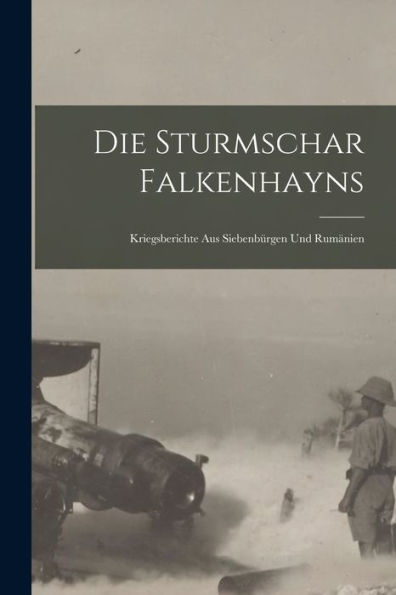 Die Sturmschar Falkenhayns: Kriegsberichte Aus Siebenbürgen Und Rumänien (German Edition)