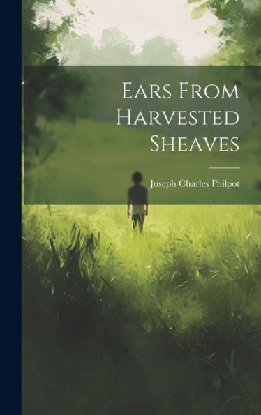 Ears From Harvested Sheaves