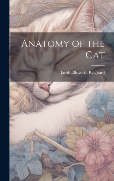Anatomy Of The Cat