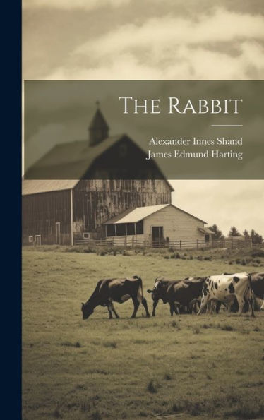 The Rabbit - 9781020401398