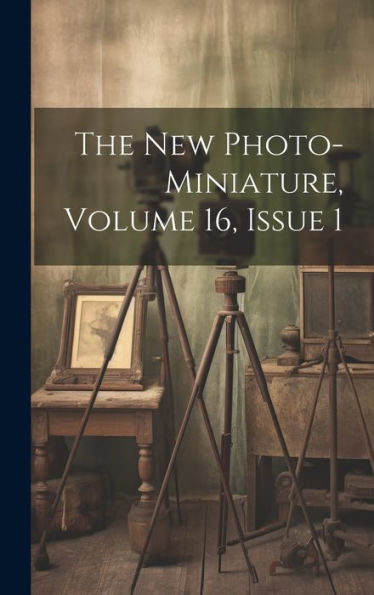 The New Photo-Miniature, Volume 16, Issue 1