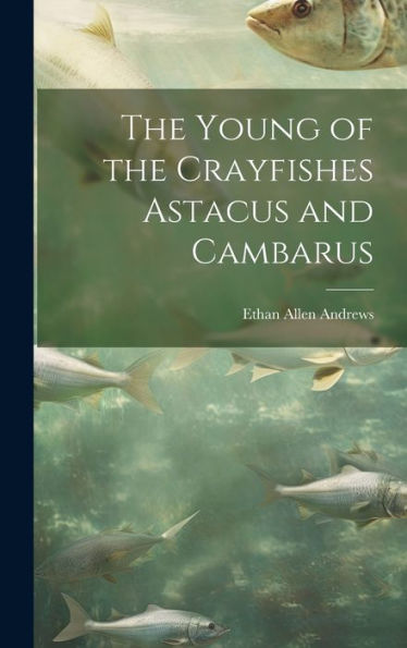 The Young Of The Crayfishes Astacus And Cambarus